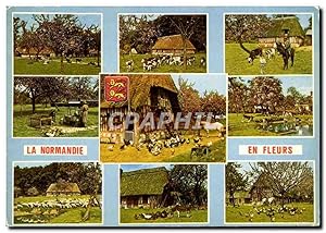 Carte Postale Moderne Normandie Ane Fermes