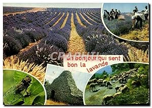 Seller image for Carte Postale Moderne Un Bonjour Qui Sent Bon La Lavande for sale by CPAPHIL