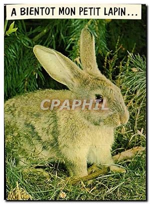 Image du vendeur pour Carte Postale Moderne A Bientot mon Petit Lapin mis en vente par CPAPHIL