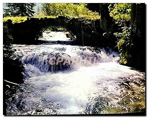 Immagine del venditore per Carte Postale Moderne Les Alpes franaises Pure et limpide est l'eau du Torrent venduto da CPAPHIL