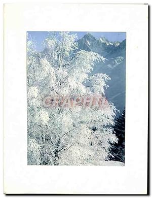 Bild des Verkufers fr Carte Postale Moderne Arbres Montagne sous la neige zum Verkauf von CPAPHIL