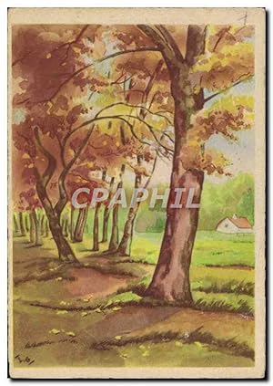 Bild des Verkufers fr Carte Postale Moderne fort Arbres zum Verkauf von CPAPHIL