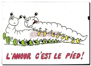 Bild des Verkufers fr Carte Postale Moderne L'amour Cest Le Pied Chenille zum Verkauf von CPAPHIL