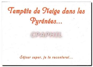 Bild des Verkufers fr Carte Postale Moderne Tempte De Neige Dans Les Pyrenees zum Verkauf von CPAPHIL