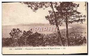 Seller image for Carte Postale Ancienne Cannes Panorama a travers les Pins de Super Cannes for sale by CPAPHIL