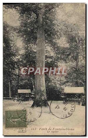 Bild des Verkufers fr Carte Postale Ancienne fort de Fontainebleau Le Jupiter Arbre zum Verkauf von CPAPHIL