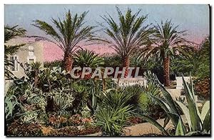 Bild des Verkufers fr Carte Postale Ancienne Flore Artistique Jardin Villa Palmiers zum Verkauf von CPAPHIL