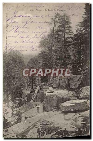 Carte Postale Ancienne Corse La forêt De Vizzavona