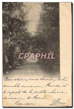 Image du vendeur pour Carte Postale Ancienne Chemin dans les bois mis en vente par CPAPHIL