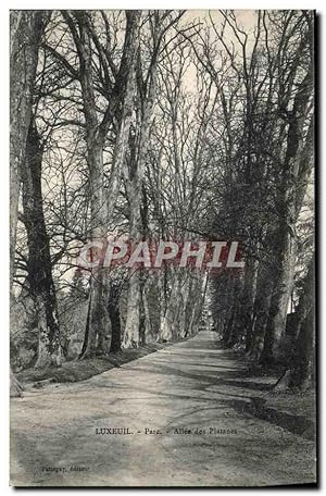 Carte Postale Ancienne Luxeuil Parc Allée des Platanes