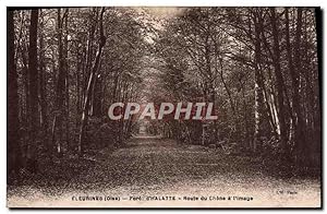 Carte Postale Ancienne Fleurines d'Halatte Route du Chene a l'Image