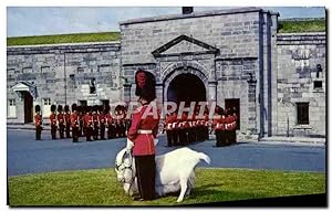 Carte Postale Moderne Quebec Canada Chevre Bouc