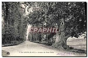 Image du vendeur pour Carte Postale Ancienne La Loupe Avenue de Gros Chene mis en vente par CPAPHIL