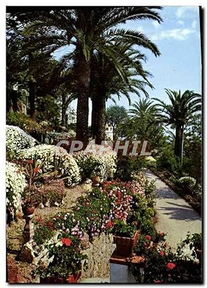 Image du vendeur pour Carte Postale Moderne Theoule Villa St Camille et ses jardins fleuris mis en vente par CPAPHIL
