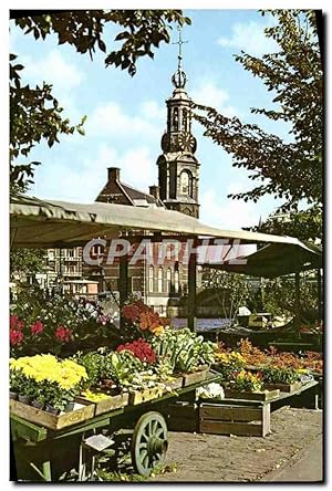 Carte Postale Moderne Amsterdam Holland