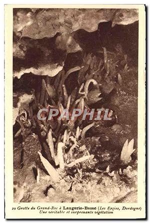 Image du vendeur pour Carte Postale Ancienne Laugerie Basse Grotte du Grand Roc Les Eyzies Prehistoire mis en vente par CPAPHIL