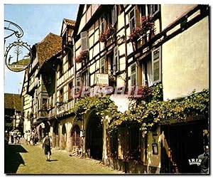 Carte Postale Moderne Riquewihr Cite medievale