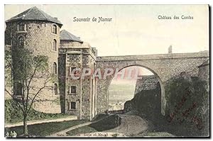 Carte Postale Ancienne Souvenir de Namur Château des Comtes