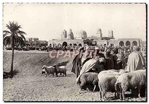 AB2323 Algérie - Alger Le Blanche - Vues - Vintage Postcard - Carte Postale