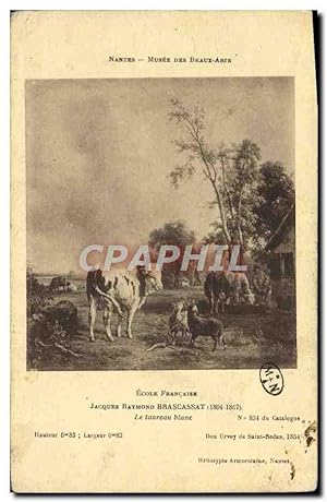 Carte Postale Ancienne Nantes Musee Des Beaux Arts Jacques Raymond Brascassat Le taureau blanc