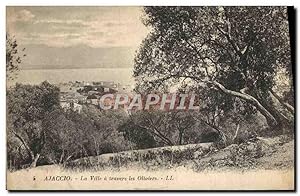 Carte Postale Ancienne Ajaccio La Ville A Travers Les Oliviers