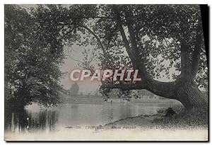 Carte Postale Ancienne Creteil Arbre Penche