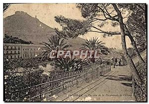 Carte Postale Ancienne Oran Un coin de la promenade de l'etang