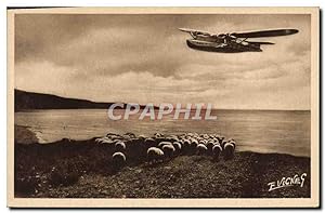 Carte Postale Ancienne Avion Aviation Paysages landais Au grand lac de Biscarosse Hydravion Moutons