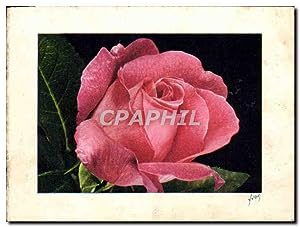 Bild des Verkäufers für Image Fleur Rose zum Verkauf von CPAPHIL