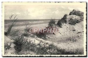 Carte Postale Moderne Ostende La Dune