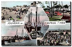 Carte Postale Moderne Souvenir De Cayeux Sur Mer La plage et les cabines Les campeurs Camping Ent...