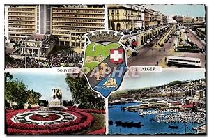 Carte Postale Moderne Souvenir D'Alger Lion