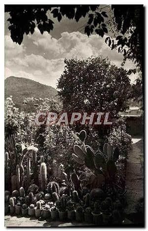 Imagen del vendedor de Carte Postale Moderne Mallorca Valimenosa Vista parcial del jardinaito de la Celda Museo Chopin y George Sand a la venta por CPAPHIL