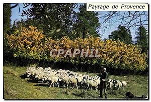 Bild des Verkufers fr Carte Postale Ancienne Cote D'Azur Paysage De Provence Moutons zum Verkauf von CPAPHIL