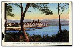 Carte Postale Ancienne Antibes vue A Travers Les Pins Et La Chaine Des Alpes Neigeuses