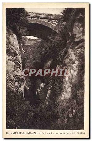 Carte Postale Ancienne Amelie Les Bains Pont du Ravin sur la Route de Palalda