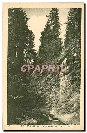 Carte Postale Ancienne Le Lioran Les Gorges De l'Allagnon