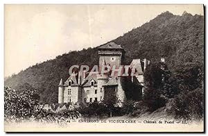 Carte Postale Ancienne Environs de Vic Sur Cere Château de Pestel