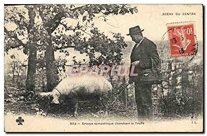 Carte Postale Ancienne Cochon Porc Folklore Groupe sympathique cherchant la truffe