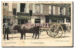 Carte Postale Ancienne Auvergne Un Attelage auvergnat
