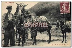 Carte Postale Ancienne Folklore Pyrenees Conducteurs de mulets TOP