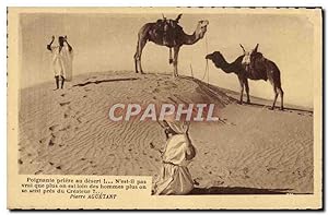 Carte Postale Ancienne Desert Chameau Dromadaire Islam Priere au desert