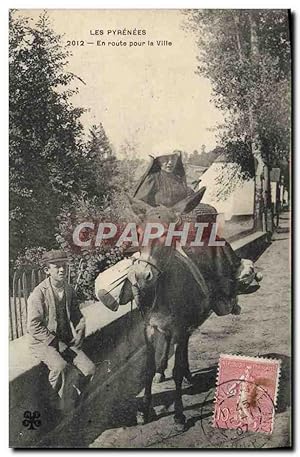 Carte Postale Ancienne Folklore Pyrenees En route pour la ville Ane Mule TOP
