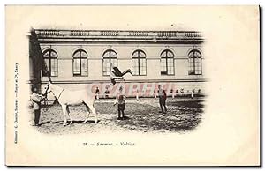 Carte Postale Ancienne Hippisme Cheval Saumur Voltige