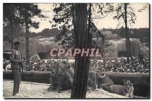 Image du vendeur pour Carte Postale Ancienne Parc zoologique du Bois de Vincennes Paris le travail des lions sur leur plateau mis en vente par CPAPHIL