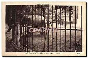 Carte Postale Ancienne Elephant Lyon Parc de la Tete d'or L'elephant Loulou