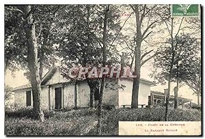 Carte Postale Ancienne forêt Tarn forêt de la Gresigne La baraque royale