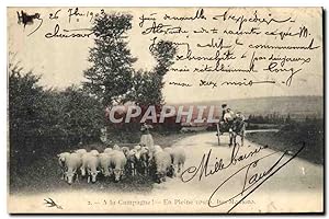 Carte Postale Ancienne Folklore En pleine route Les moutons AttelageAne Mule