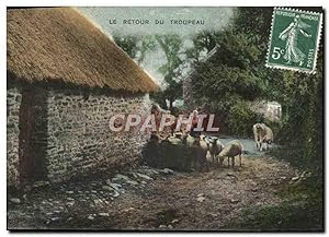Carte Postale Ancienne Folklore Le retour du troupeau Moutons
