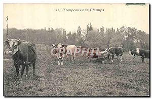 Carte Postale Ancienne Folklore Troupeaux aux champs Vaches